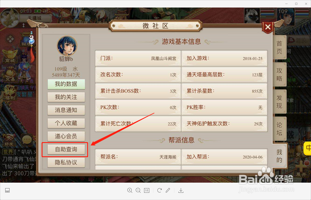 问道手游如何查询自己的充值记录,充值过多少钱
