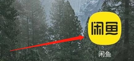 闲鱼如何退出登录