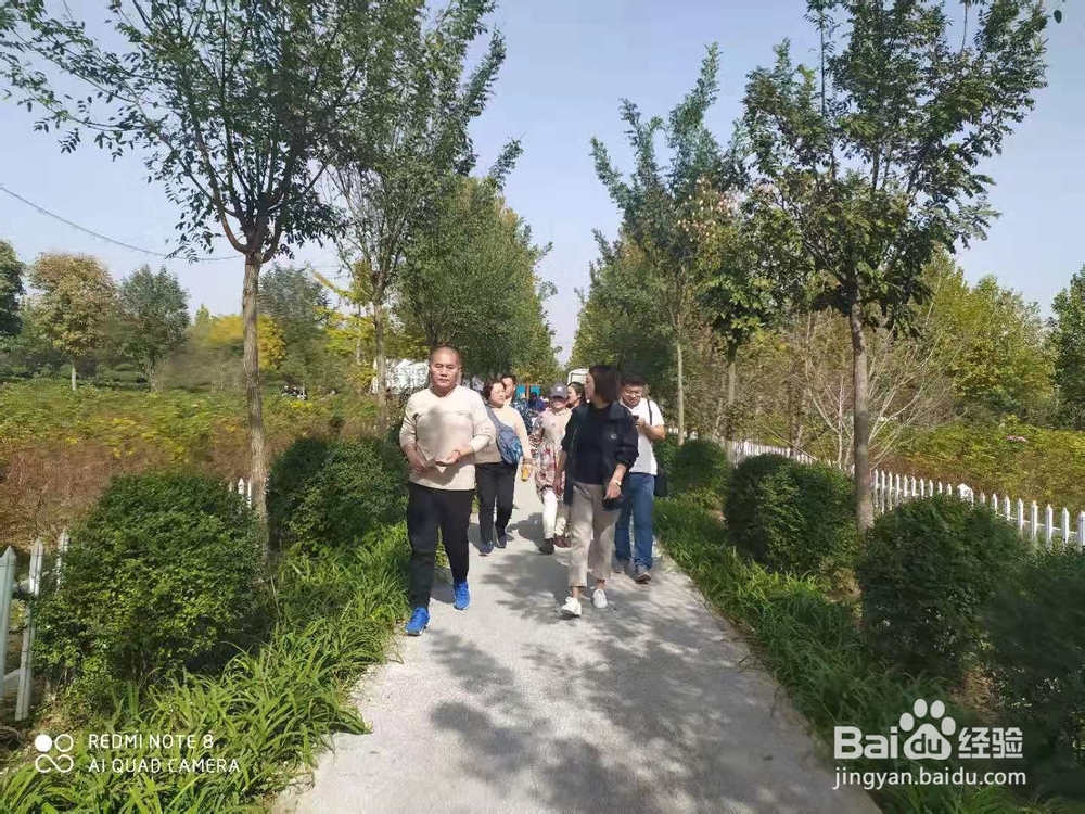 组团来许昌鄢陵,来浪漫步庭玫瑰农庄团餐超值