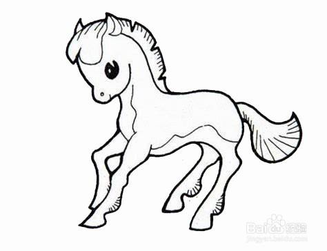 奔跑的棕色小马驹的简笔画