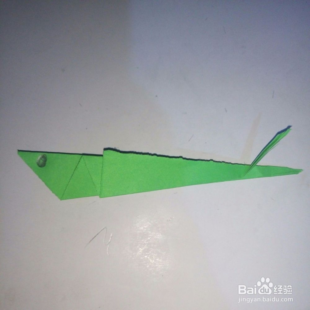 简便鹦鹉的折法