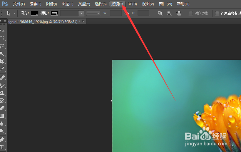 PS将图片进行旋转扭曲