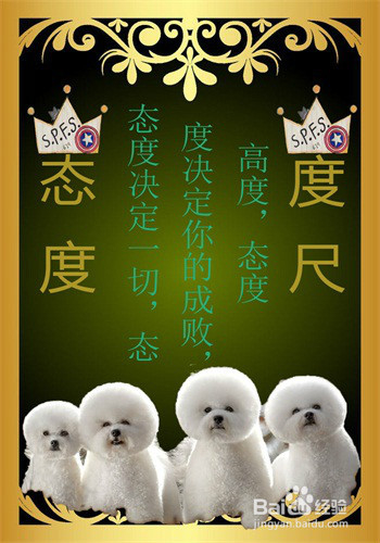 如何快速的学好Photoshop（ps）？