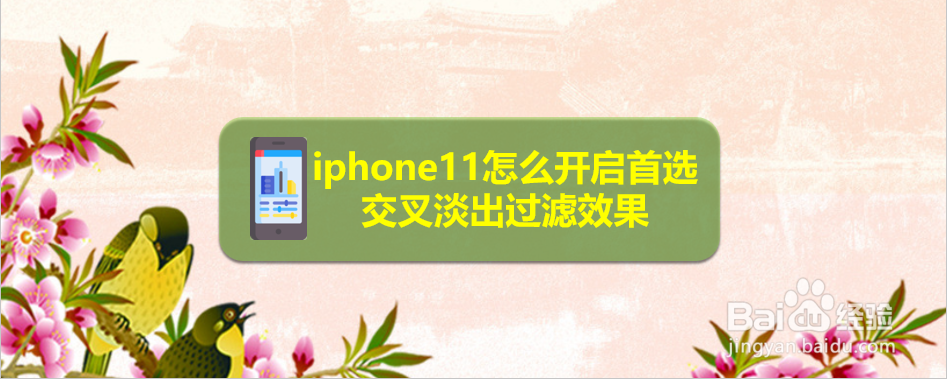 iphone11怎么开启首选交叉淡出过滤效果
