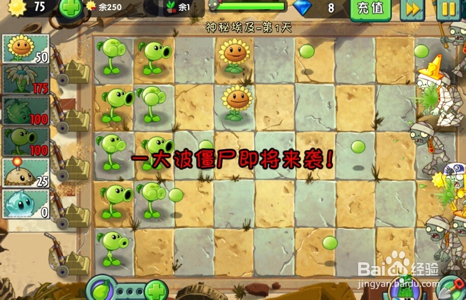 植物大战僵尸2:第1天第3颗星(神秘埃及)