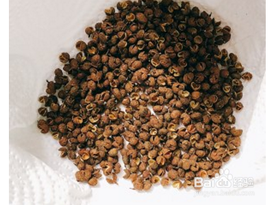 重庆泡菜的做法最正宗的做法