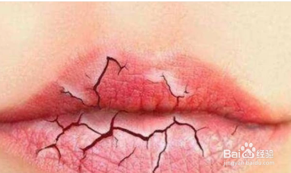 茶叶包在日常生活中有什么奇妙的用处？