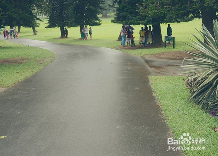 夏季如何应对雷雨灾害