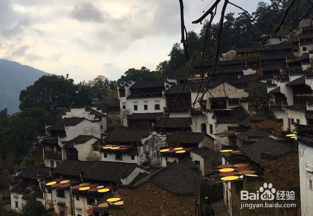 哈苏对焦技巧