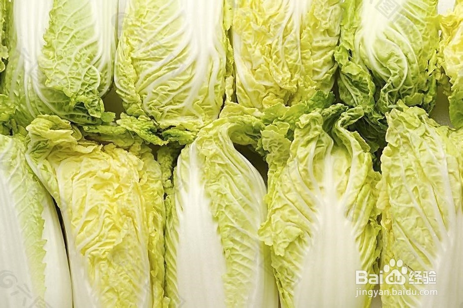 如何选购白菜？