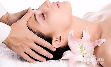 白扁豆花的功效与食用方法