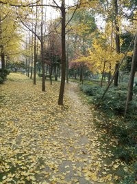 【校园指南】四川师范大学奖学金篇