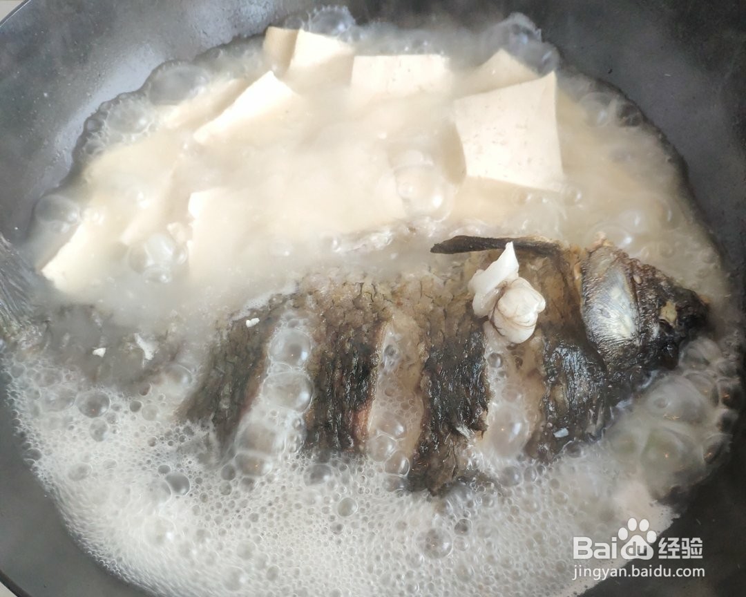 如何制作鲫鱼炖豆腐？