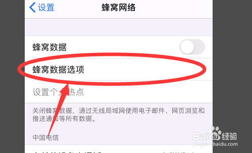 iPhone11如何开启低数据模式?