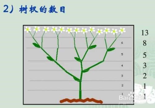 教研员如何指导教师“打烂揉碎”对数学概念教学