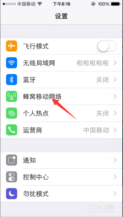 苹果手机怎么打开数据流量