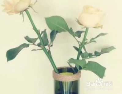空红酒瓶有什么用处