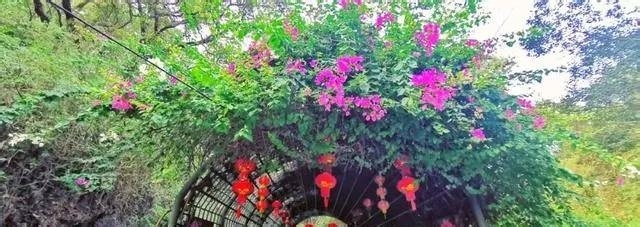 厦门梅海岭景区