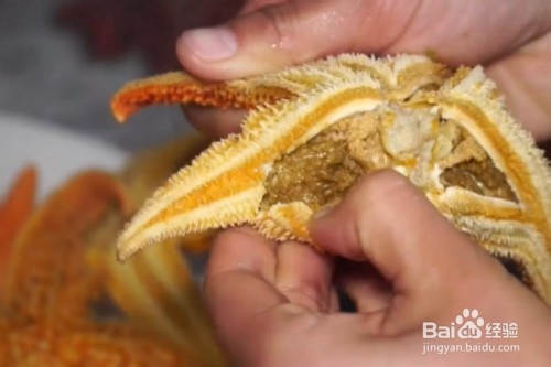海星吃法图解