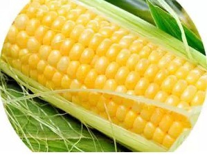 爱吃这十种食物的人会长寿!