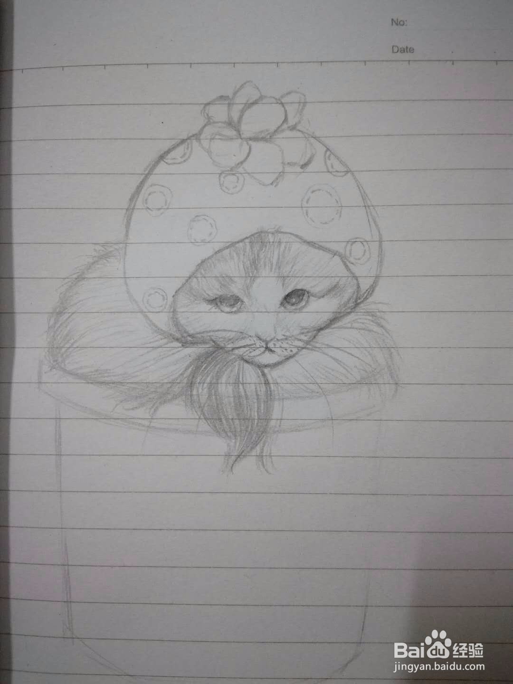 《猫咪盆载》手绘插画教程