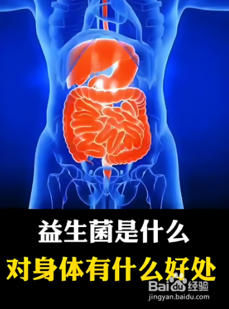 “肠”盛不衰，身轻自在！