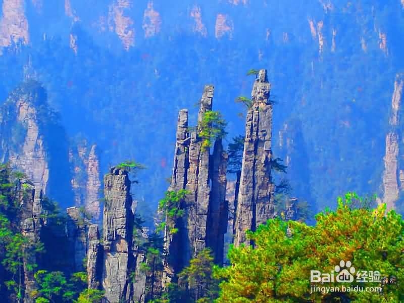 玩遍张家界学生旅游攻略线路