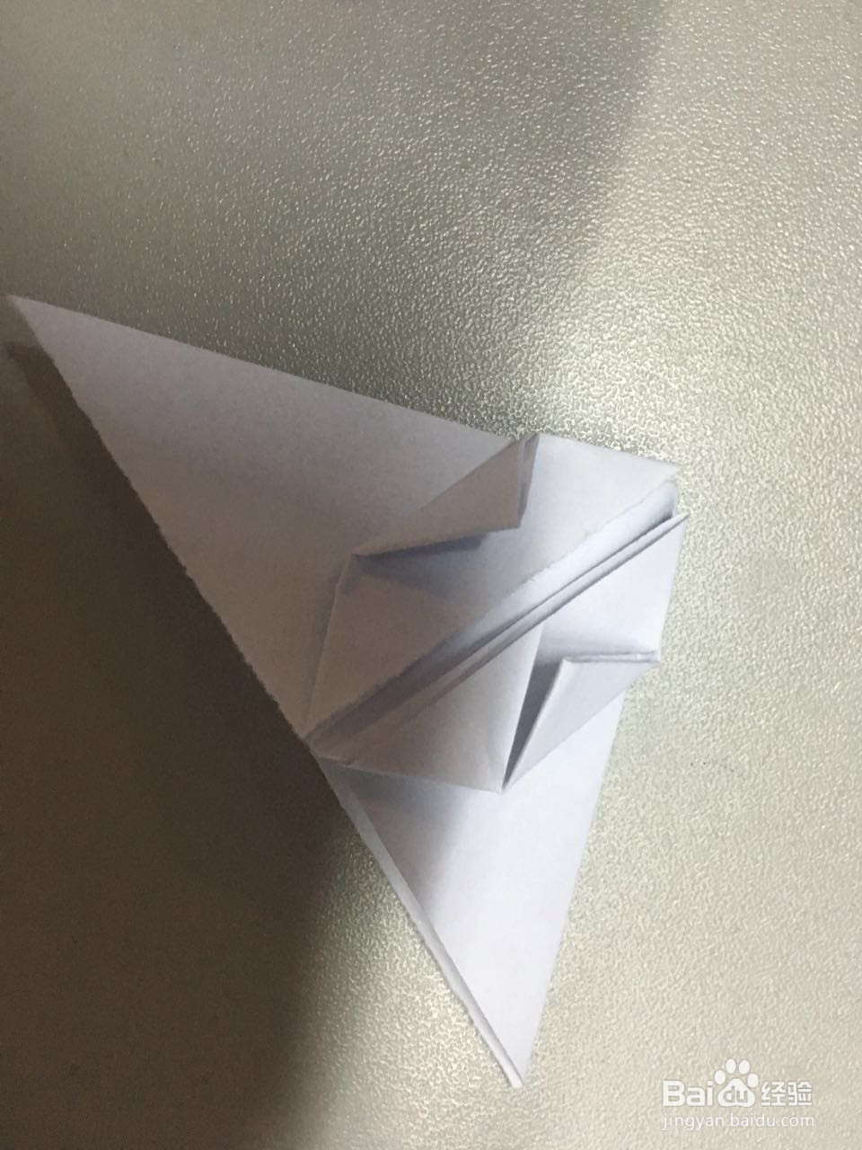 小萌物－－兔兔