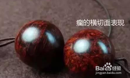 小叶紫檀瘤疤瘿为何如此珍贵