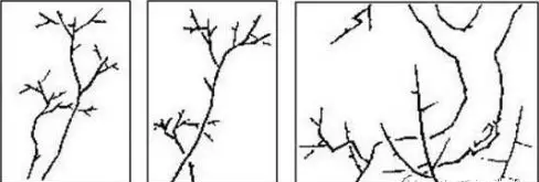 国画梅花的画法攻略
