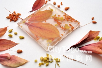 怎样给自己的爱家选择玻璃