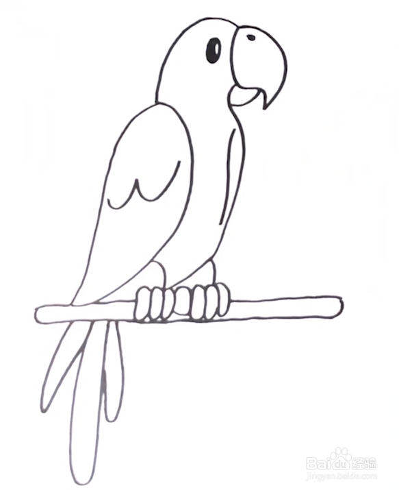 少儿简笔画——如何用彩笔一笔一笔画鹦鹉?
