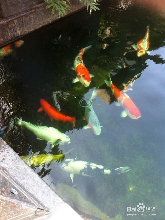 大学生毕业出来后怎样创业?创业的项目有哪些?