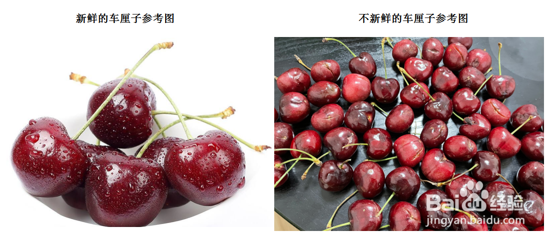 车厘子怎么看好坏