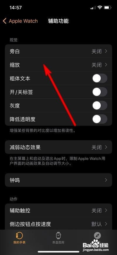 苹果手表怎么打开缩放