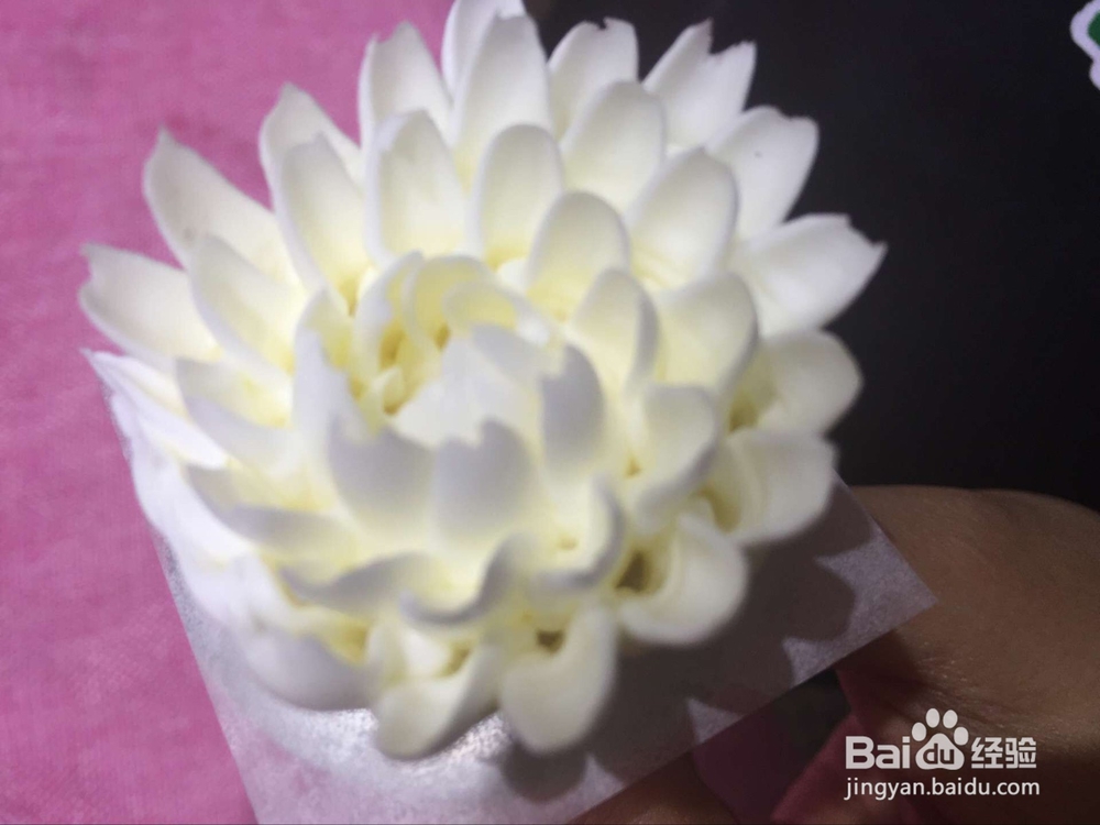 如何用白油挤出最美韩式裱花--菊花？