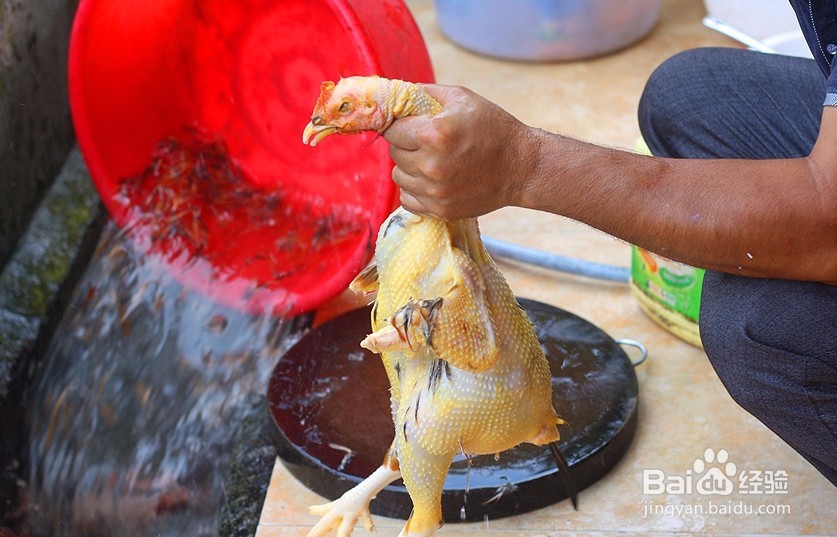 这菜城里吃不到,现宰现做40分钟上桌