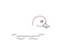 简笔画---怎么画鸭子