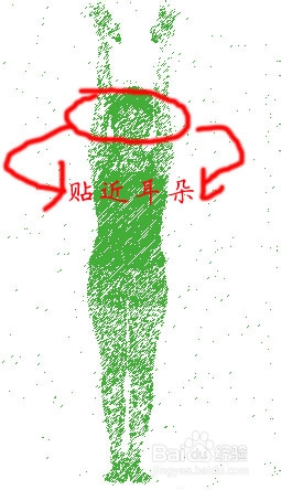 在家就能做的减肥运动：[4]瘦臂运动