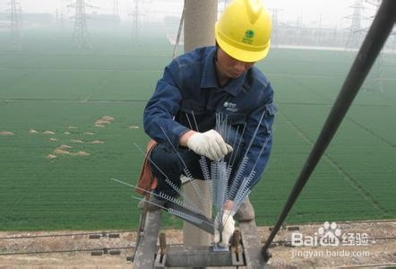 高压线路防鸟刺