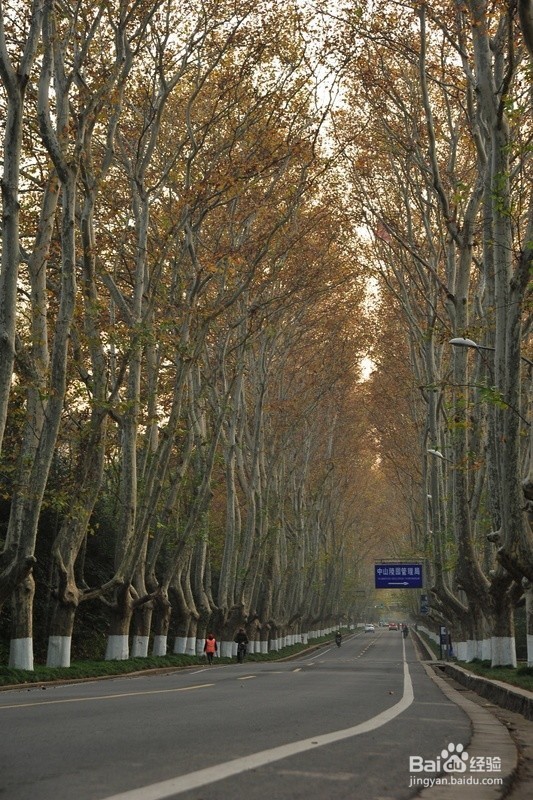 最少的钱high游南京