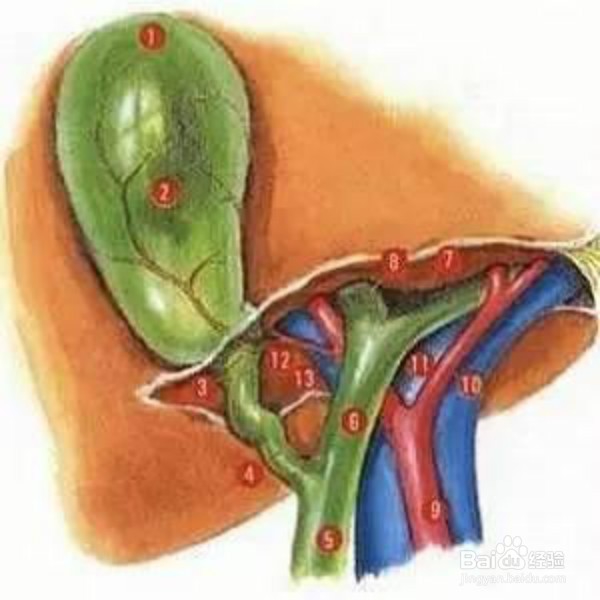 如何判断自己是否可以吃辣的