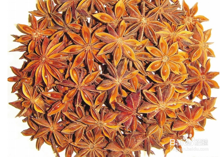 八角怎么识别真假？看看你有没有买到假八角。