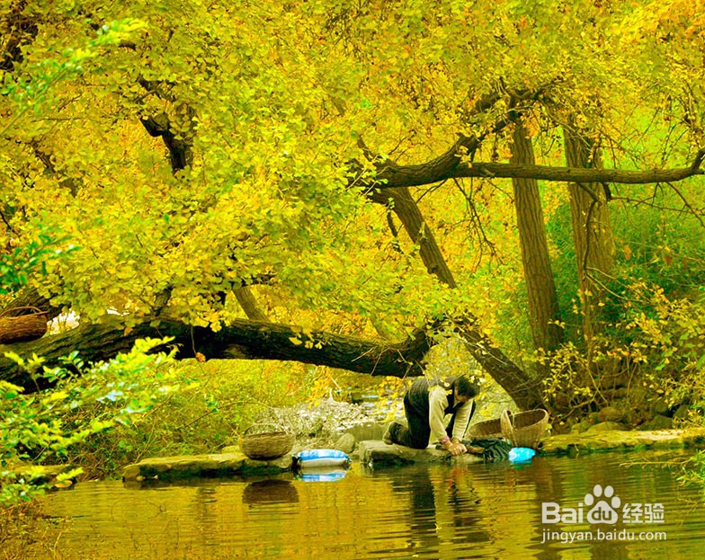 秋天 奔赴一场山长水阔
