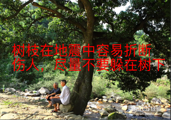 地震时你正好在山林中玩耍时怎么办?