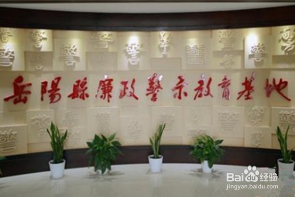 党员活动日经验做法