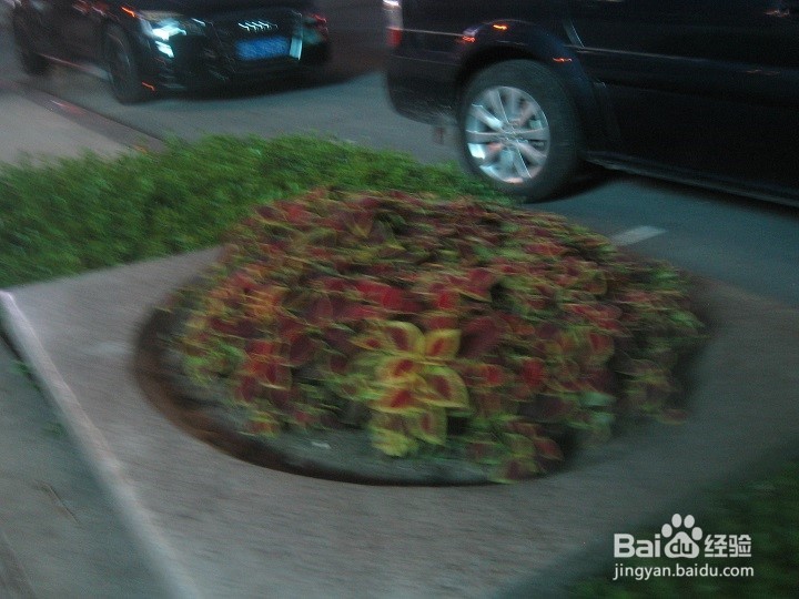 繁华城市怎样安全出行