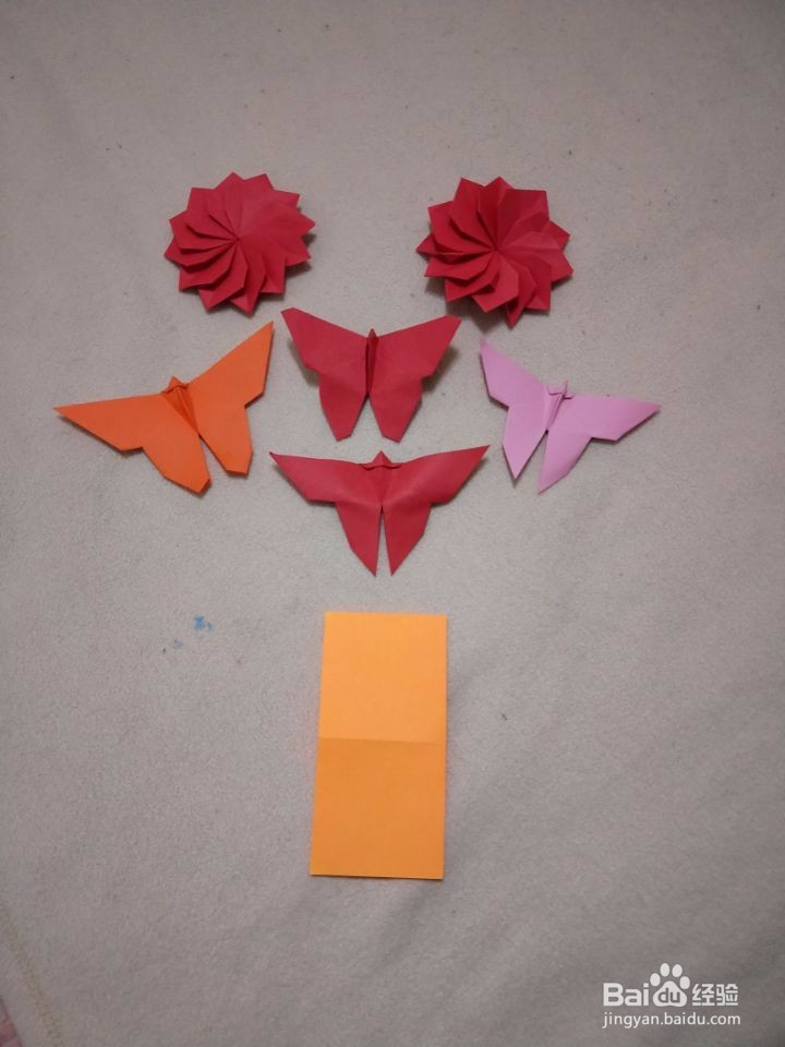 工艺美术馆：蝴蝶花园。