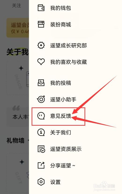 如何向遥望应用软件提反馈意见