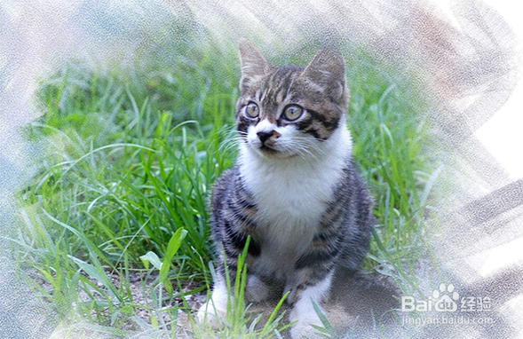 拜耳喂多了怎么办